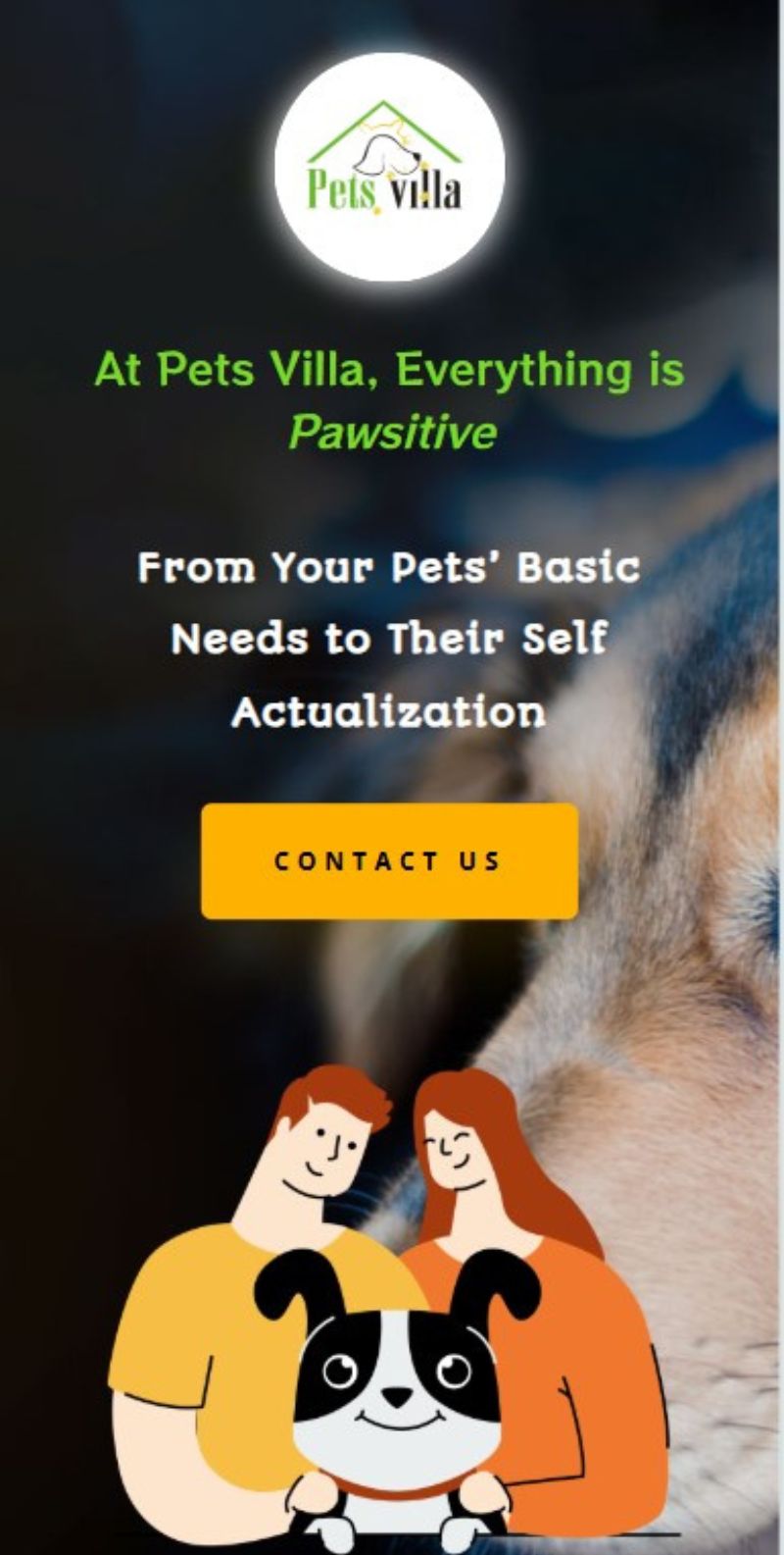 Website development hero