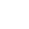 Professional institutional histories